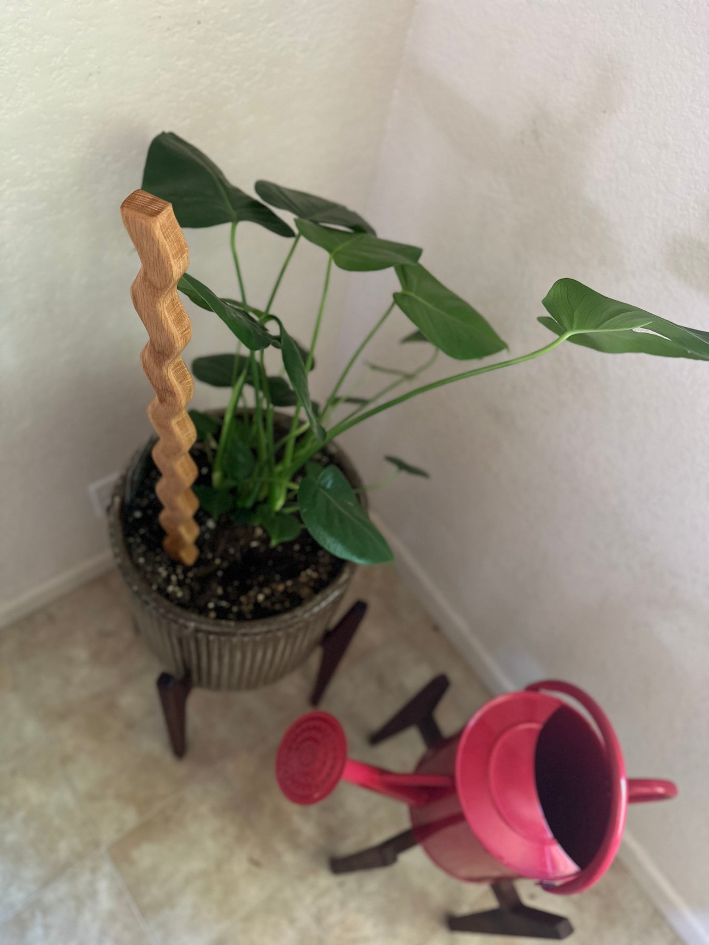 Plant Stick | Plant Stake For House Plants| Plant Accessories | Unique Plant Support | Plant Home Decor