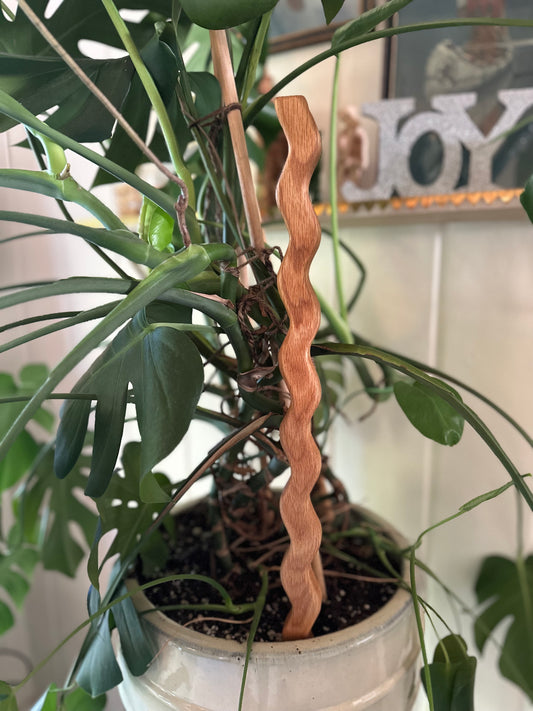 Plant Stick | Plant Stake For House Plants| Plant Accessories | Unique Plant Support | Plant Home Decor