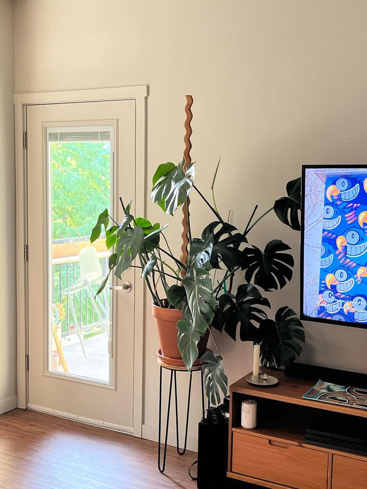 Plant Stick | Plant Stake For House Plants| Plant Accessories | Unique Plant Support | Plant Home Decor