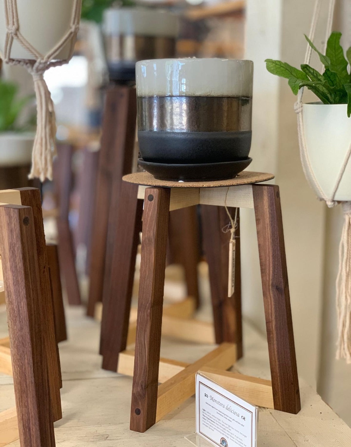 Walnut/Maple Hardwood Indoor Plant Stand