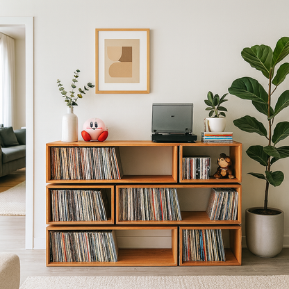 Vinyl Shelf: Hardwood Record Shelf