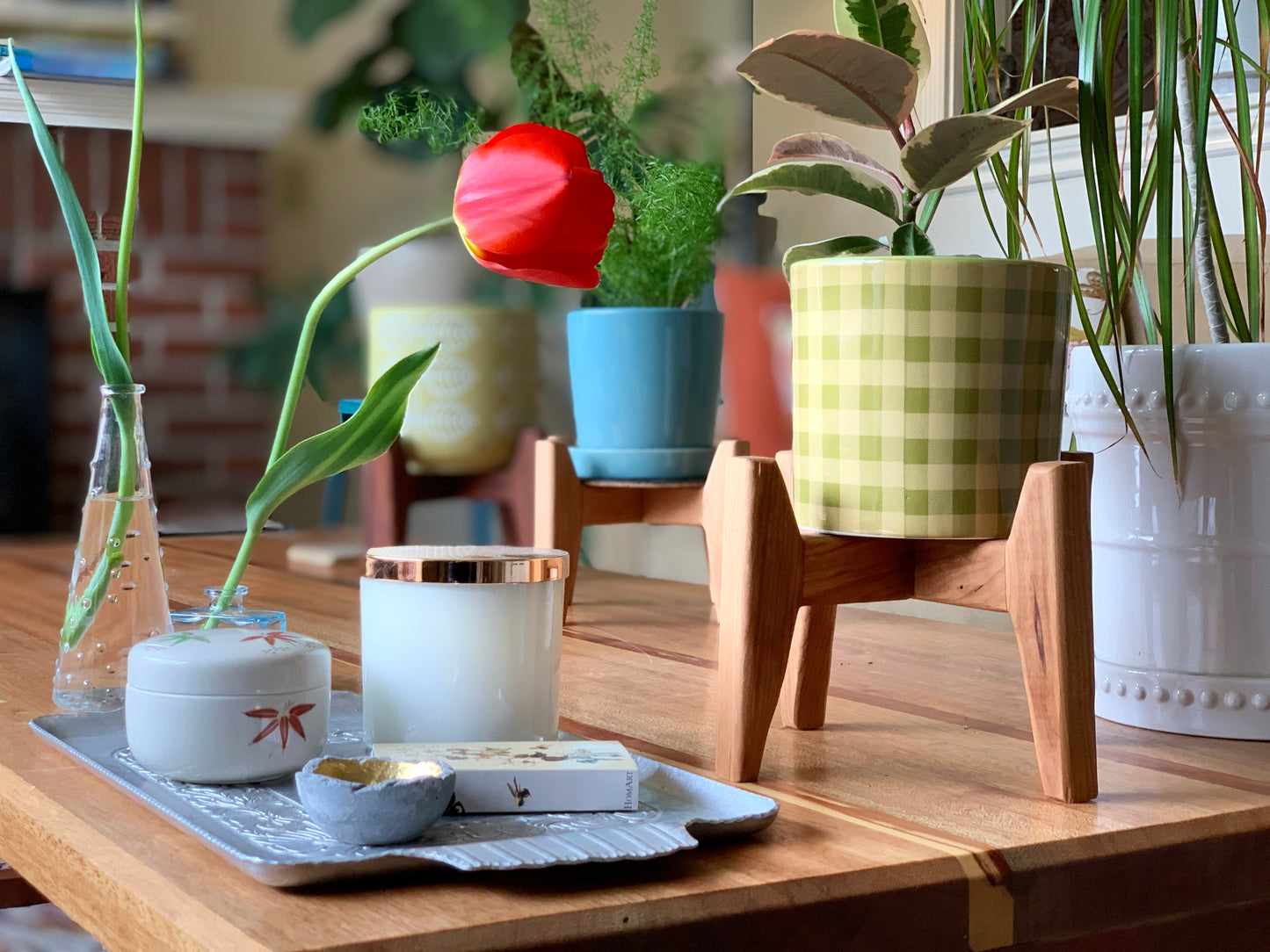 Mid-Century Modern Table Top Plant Stand