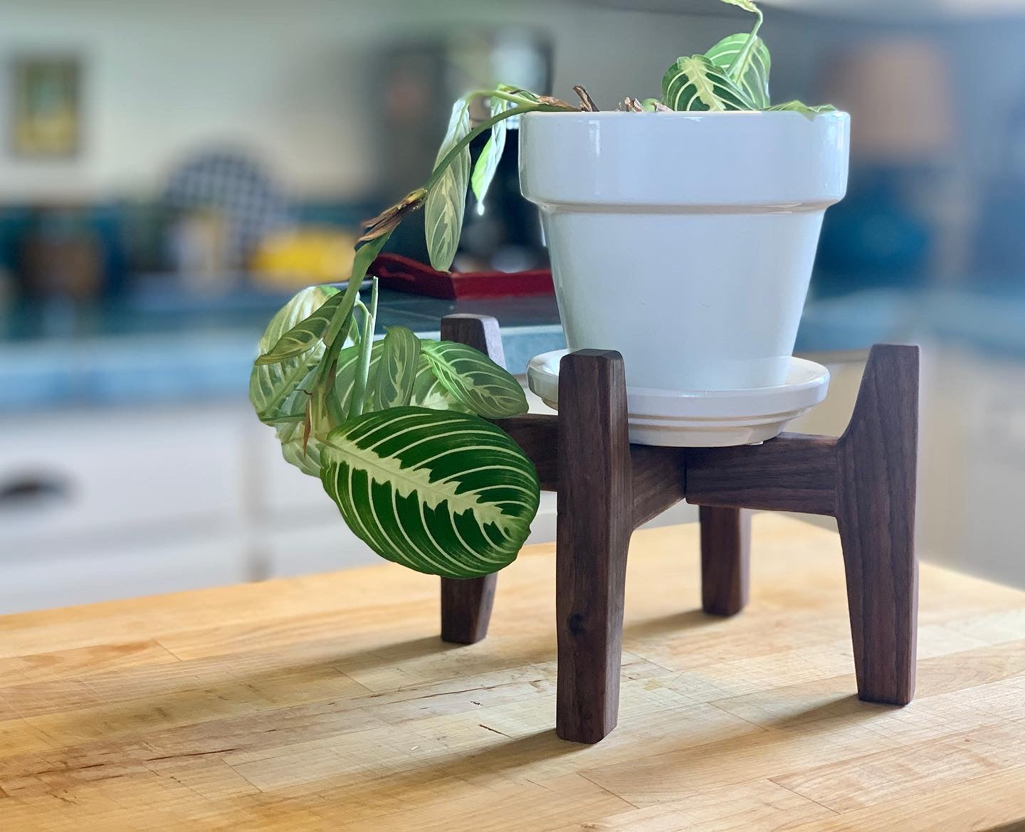 Mid-Century Modern Table Top Plant Stand