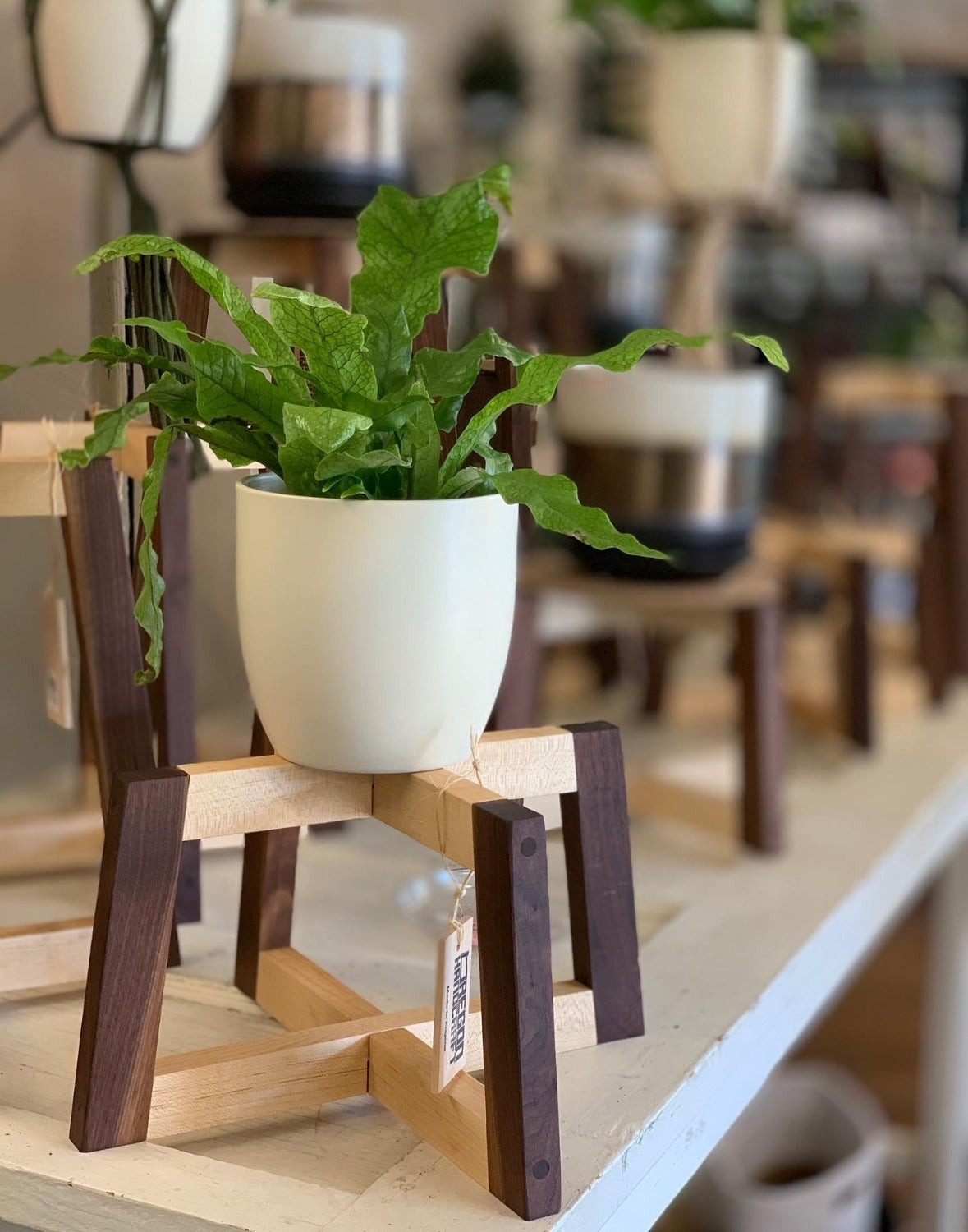 Walnut/Maple Hardwood Indoor Plant Stand