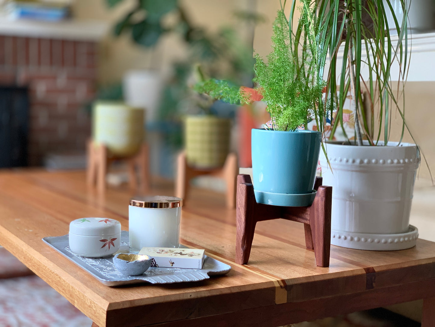 Mid-Century Modern Table Top Plant Stand